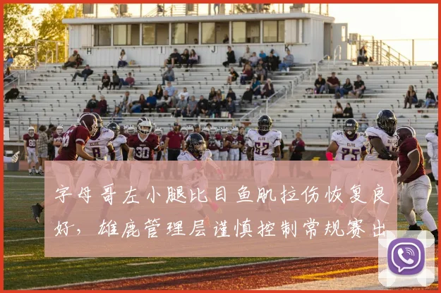 字母哥左小腿比目鱼肌拉伤恢复良好，雄鹿管理层谨慎控制常规赛出场时间